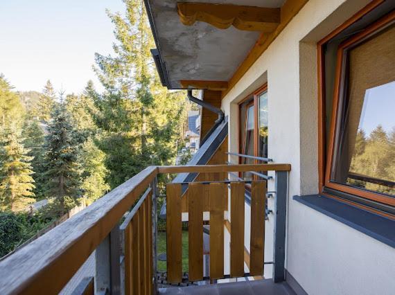 Apartament Egzotyczny Bory ザコパネ エクステリア 写真